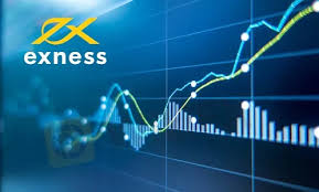 Understanding the Role of Exness Regional Office in the Forex Market