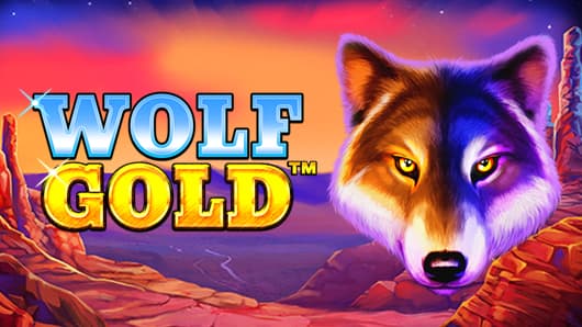 wolf gold slot 매력적인 슬롯 게임의 세계